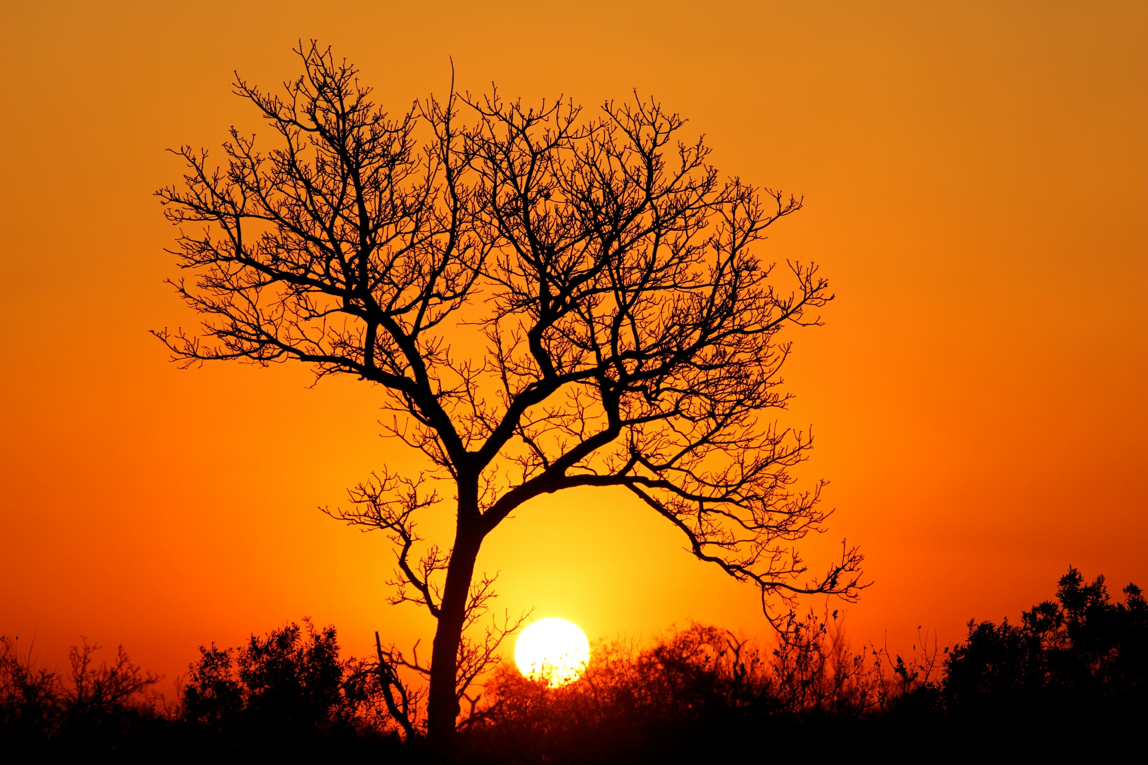 safari planning africa sunset