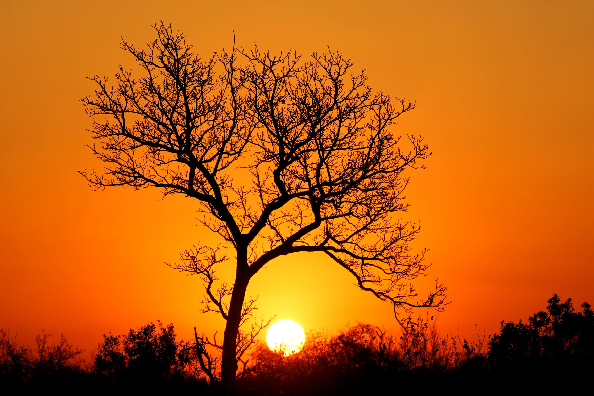 IMG_1606 safari planning africa sunset