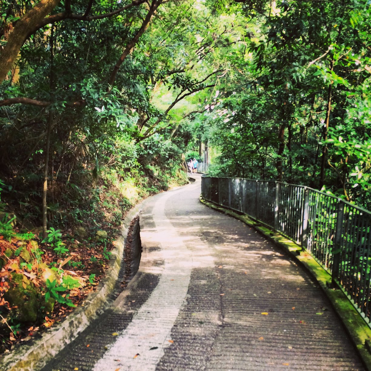 Hong Kong Hills Hong Kong active itinerary