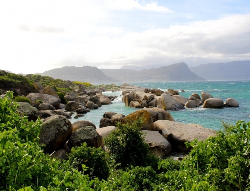 3 Day Itinerary: Cape Town, South Africa
