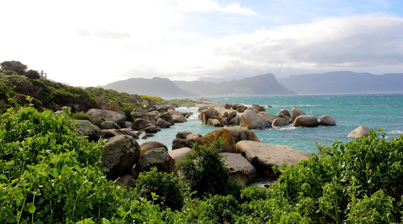 Boulders Beach 3 days in Cape Town Penguin Beach