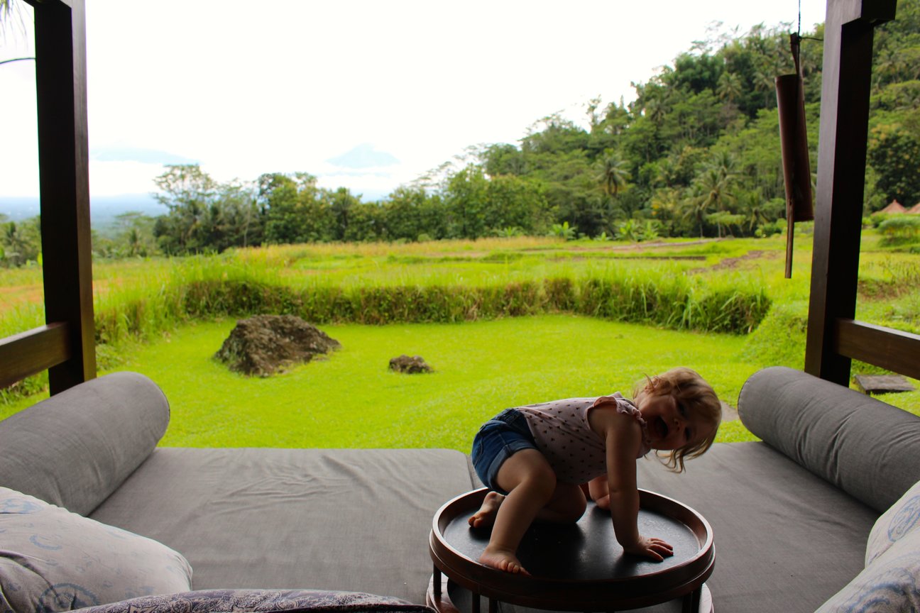 Amanjiwo rice paddies Indonesia Baby Travel Amanjiwo Borobudur Indonesia