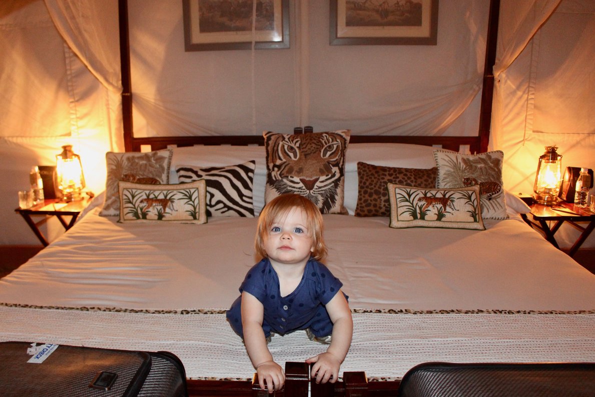 rsz_img_3176 Sher Bagh Tiger Safari India Sujan Luxury