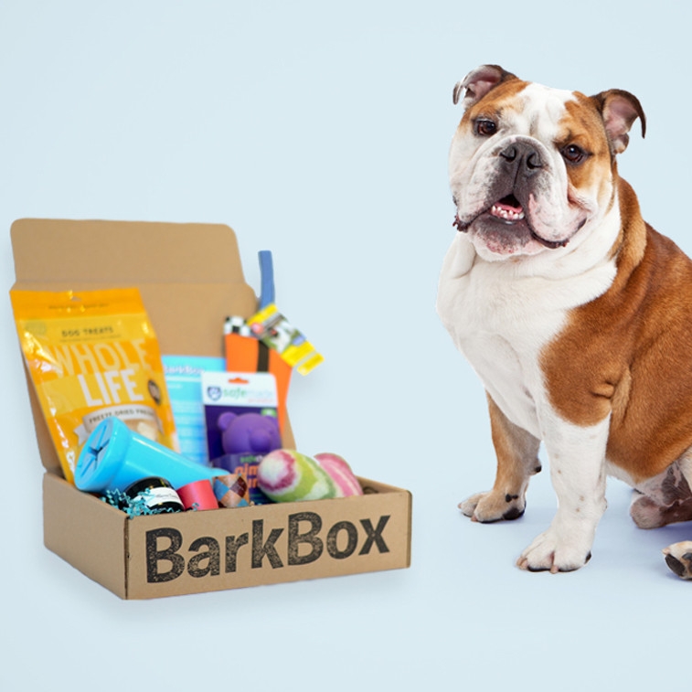 bark box