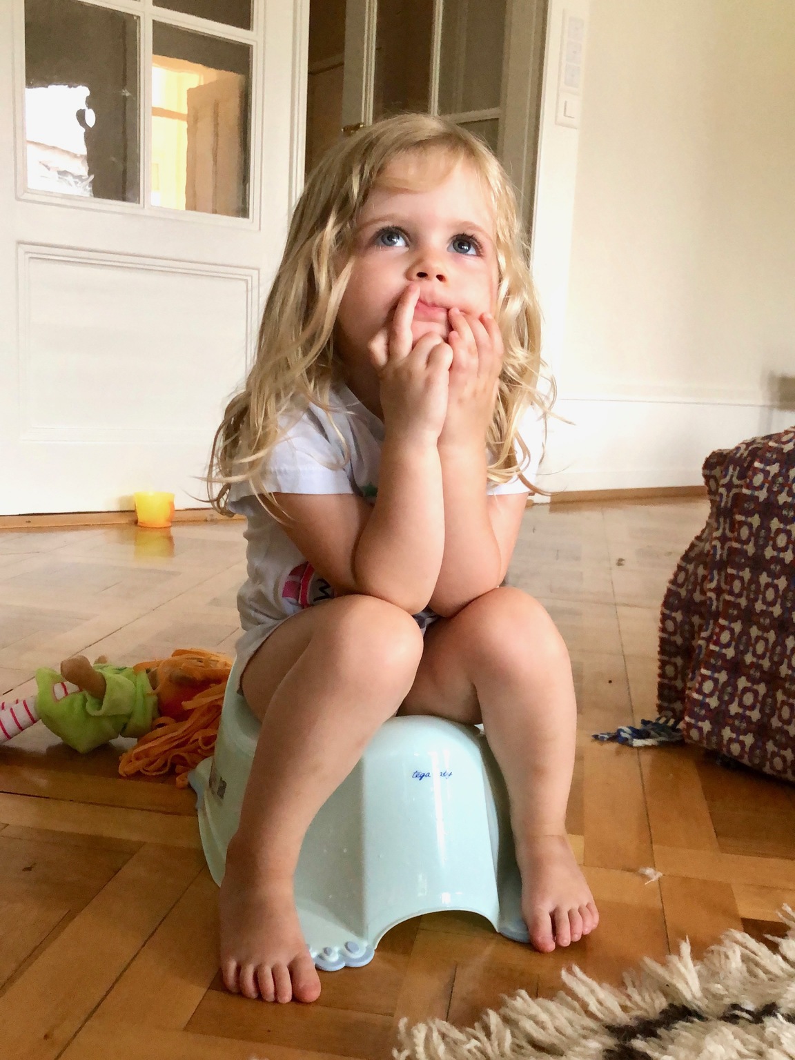 how to potty train