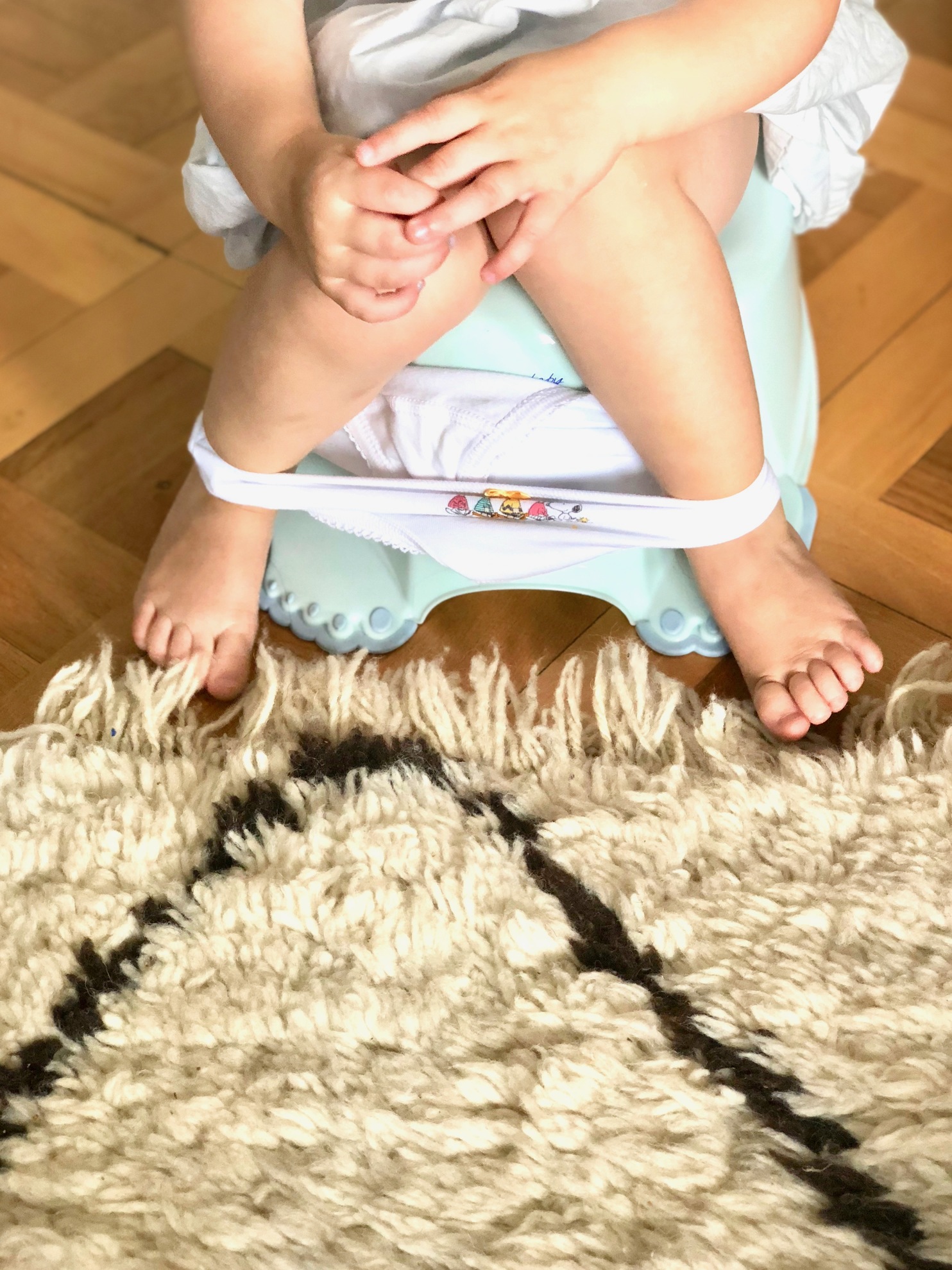 IMG_5675 potty training 101