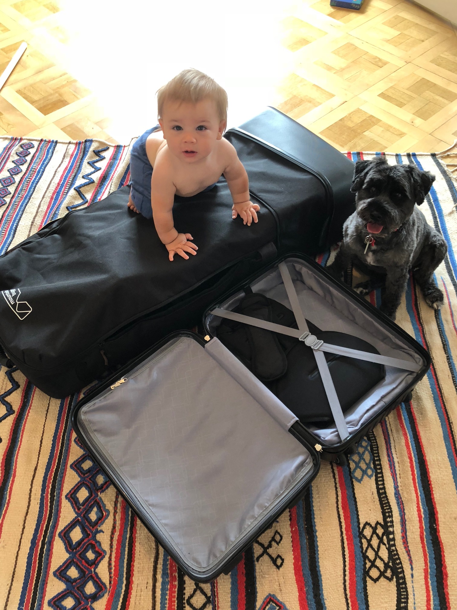 mountain buggy nano travel bag