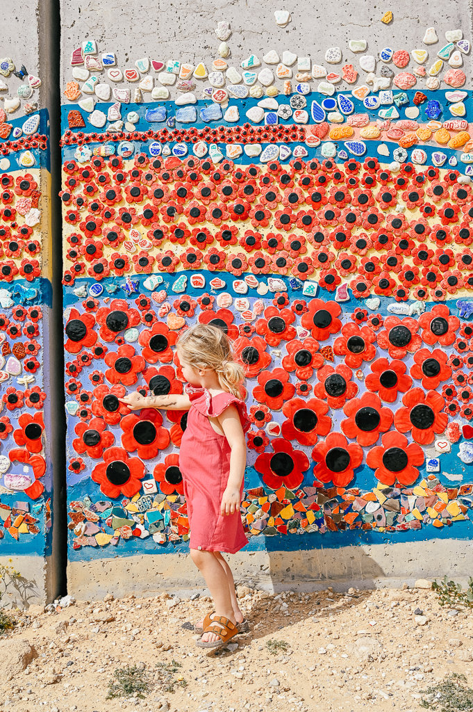 IMG_9473 path to peace puzzle israel