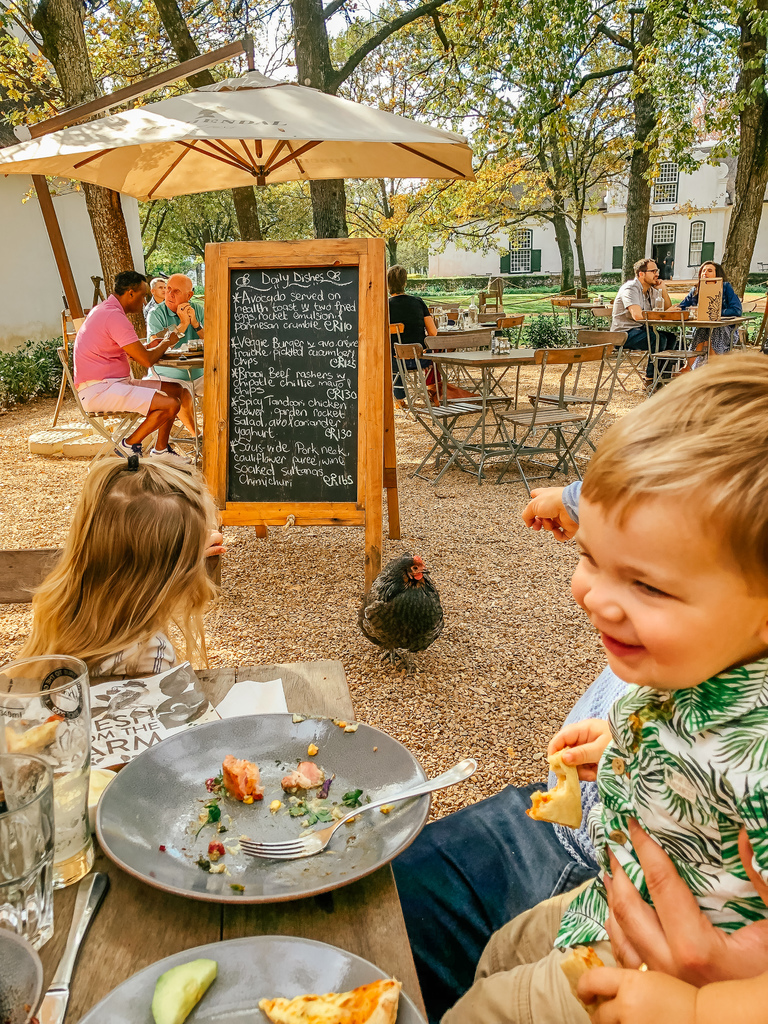 wine farms with kids