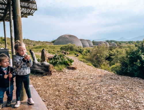 Gondwana Game Reserve, South Africa