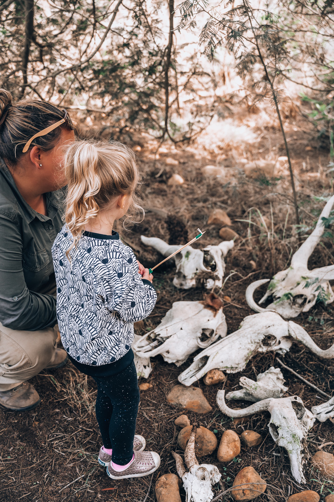 family friendly game lodge