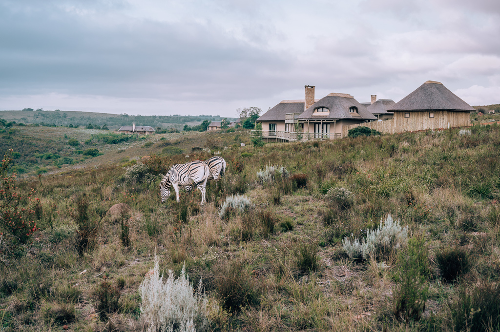 gondwana game reserve