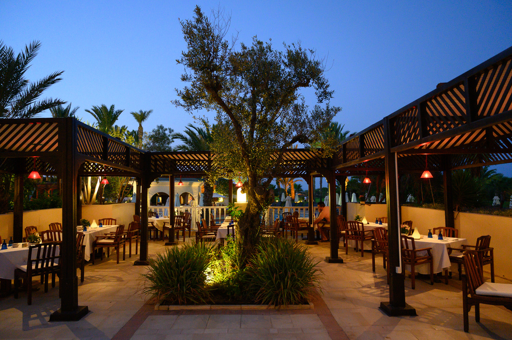 DSC_6192 holidays to tunisia